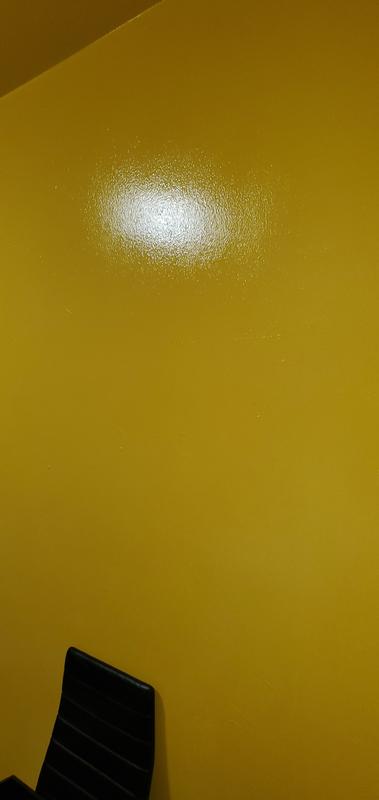 ☁️☀️ Rust-Oleum Professional 1 gal. High Performance Protective