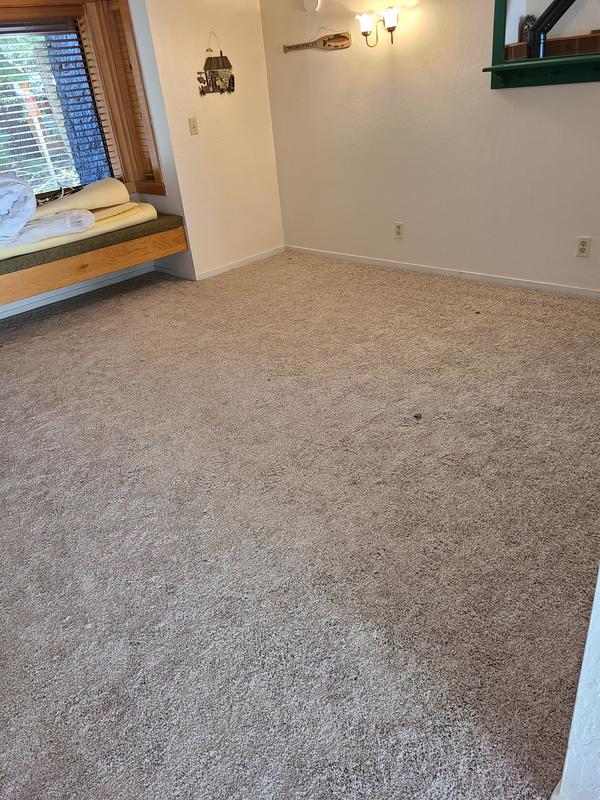 Bleached Wool Textured Indoor Carpet