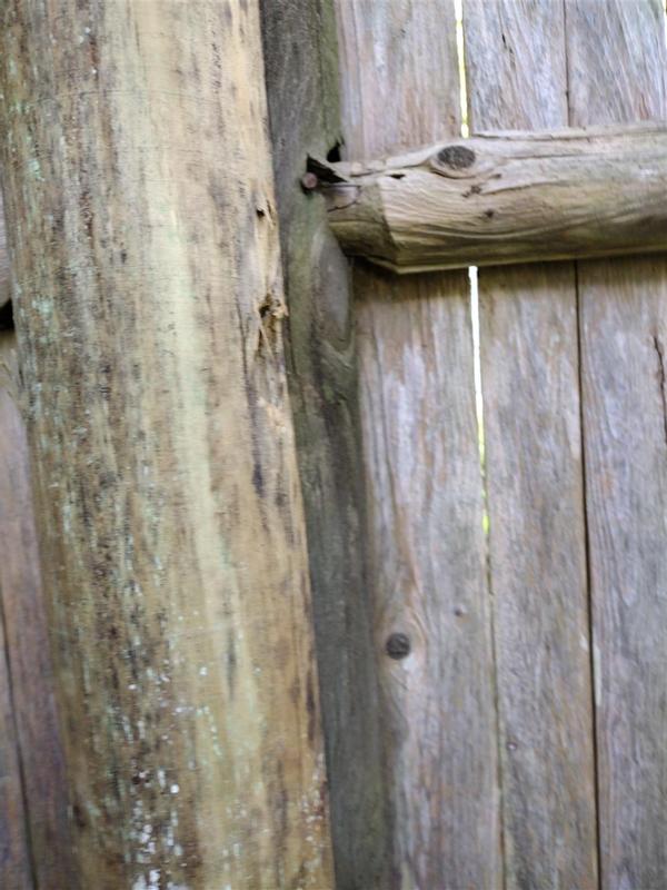 Severe Weather 4-in x 4-in x 8-ft Pressure Treated Spruce Pine Fir ...