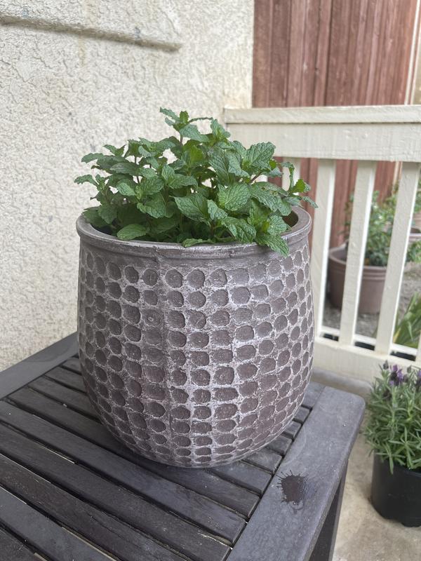 allen + roth Round 9.8-in W Medium Multiple Colors/Finishes Cement ...