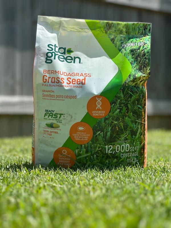 Sta Green Grass Seed
