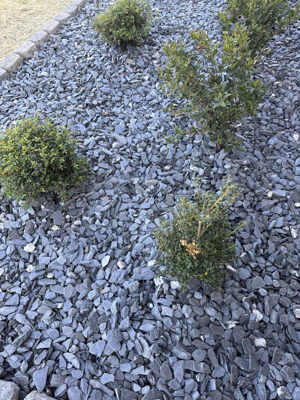 Rain Forest 0.5 - 1.5-in Black Decorative Rock, 900 lbs. Bulk