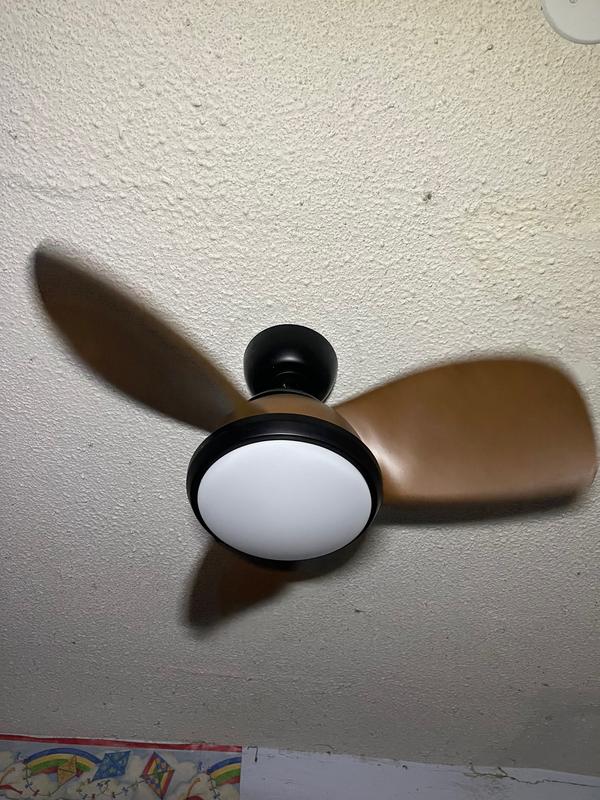 Led Indoor Ceiling Fan