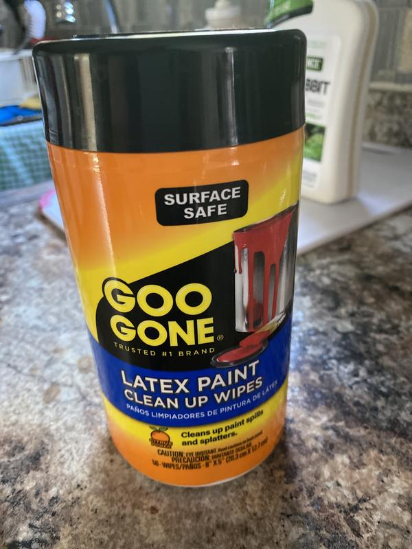 Goo Gone Latex Paint Clean Up 24 oz Trigger - Fastest, Easiest Way to  Remove Paint and Varnish Messes - Carpet Cleaning - Removes Stains