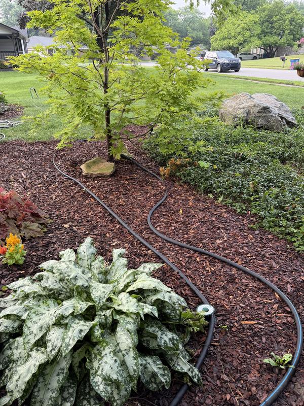 Pro's Choice Golden Trophy 3-cu ft Natural Pine Bark Mulch 303 at