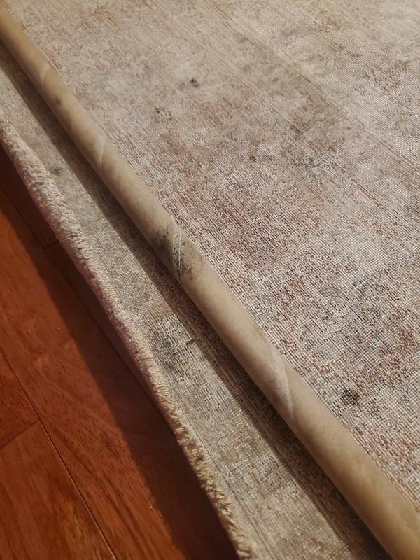 allen + roth Monarch Border 8 x 10 (ft) Flatweave Polyester Rust ...