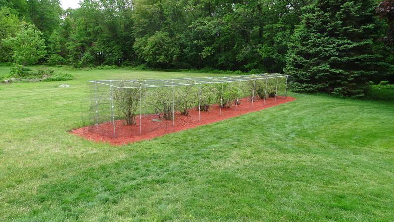 Tenax 100-ft x 7-ft Black Plastic Extruded Mesh Rolled Fencing with Mesh  Size 3/4-in x 1-in in the Rolled Fencing department at