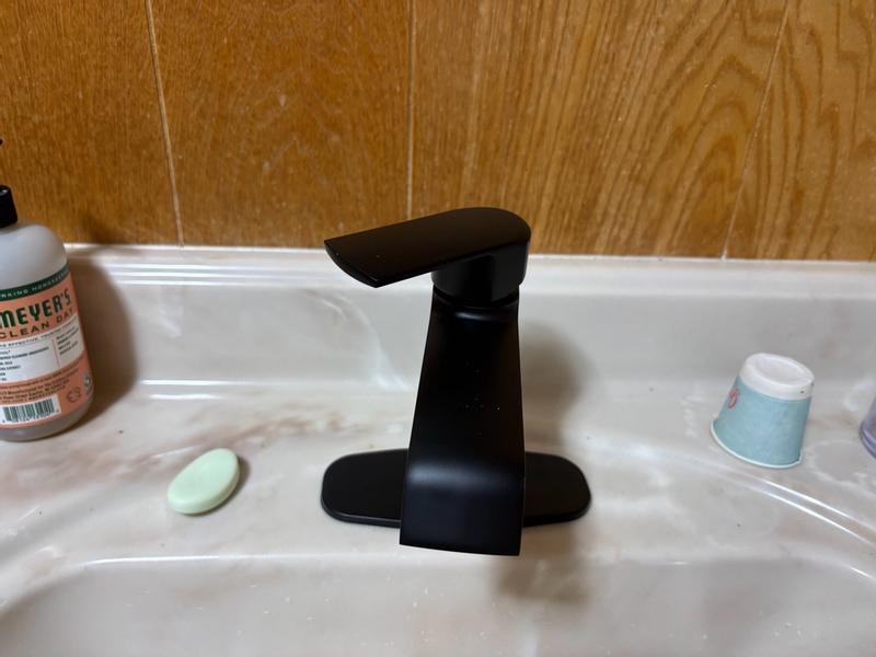 Project Source Grayford Matte Black Single Hole 1-Handle
