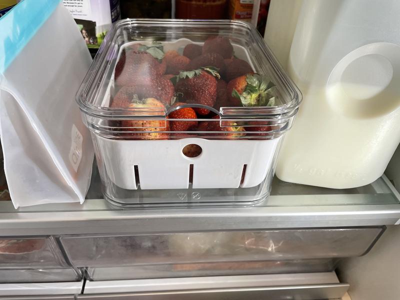 Refrigerator Berry Bin – Clearly Organized