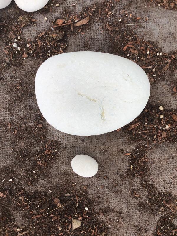 Rain Forest 0.25-cu ft 20-lb White Egg Rock in the Landscaping Rock  department at