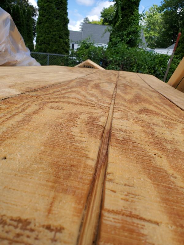 19/32 in. x 4 ft. x 8 ft Sheathing Plywood (Actual: 0.563 in. x 48 in. x 96  in.)