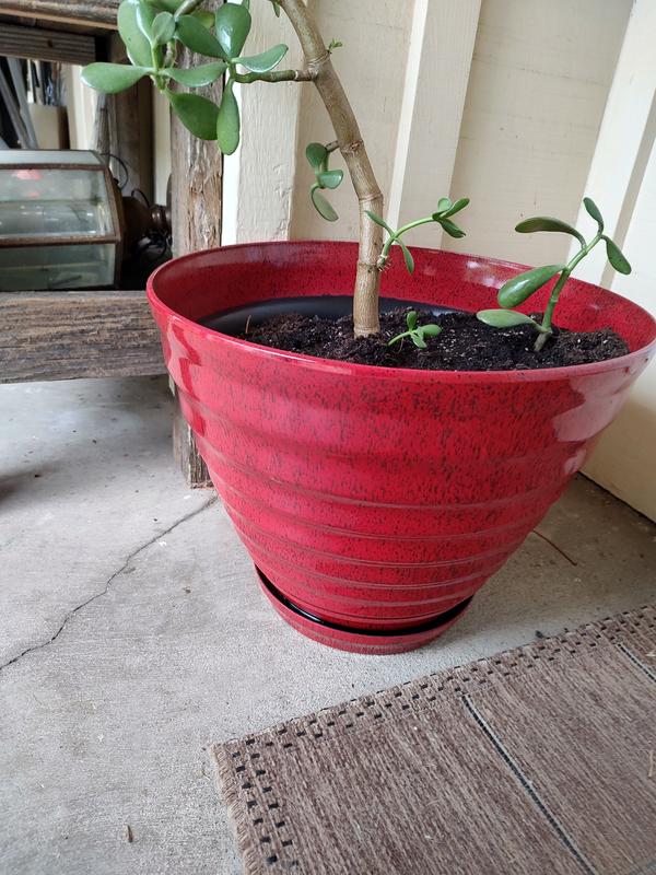 Southern Patio Round 12.3-in W Medium Red Resin Indoor Planter HDR ...