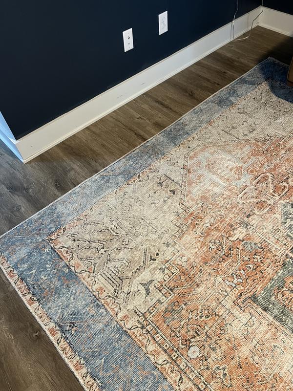 allen + roth with STAINMASTER Amelie 9 x 12 (ft) Loomed Polyester Coral ...