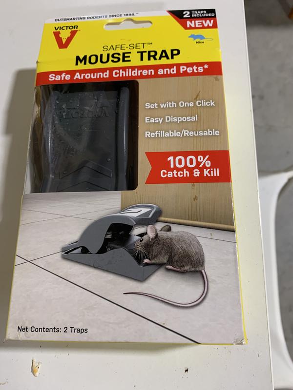  Humane Mouse Trap & Mouse Repellent Kit; Live Mouse Trap Catch  and Release Kid Safe & Pet Safe Easy Set for Small Rodents Sensitive  Trigger Plus Peppermint Oil Mice Repellent