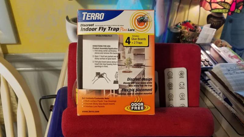  TERRO T550 Discreet Odorless Indoor Fly Trap Plus Lure -  Attracts, Traps, and Kills House Flies : Patio, Lawn & Garden