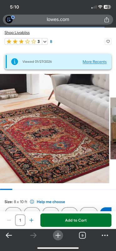 Livabliss Serapi 2 X 3 (ft) Burgundy Indoor Border Oriental Area Rug ...
