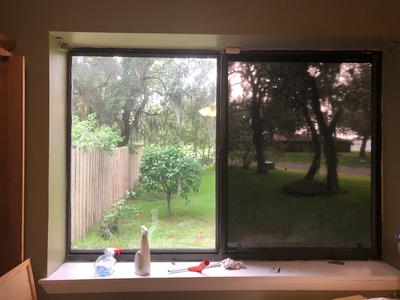 Gila PB78 Privacy Residential Window Film Black 36inch by 61/2feet for sale online 