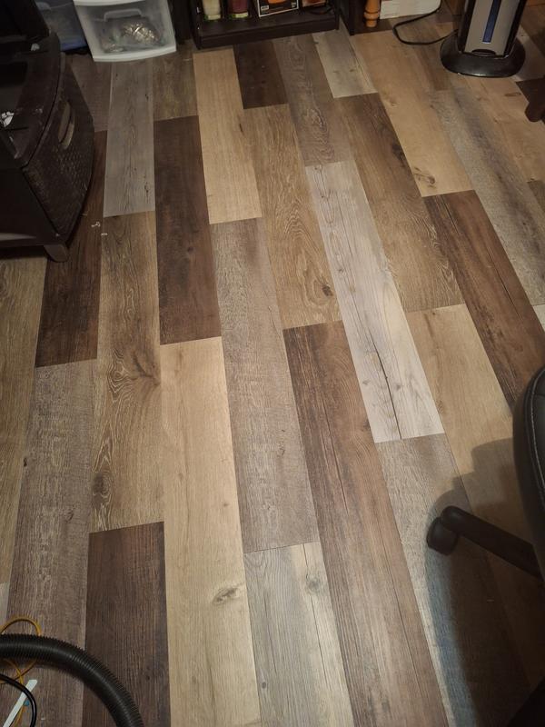 Style Selections Tanglewood Birch Gray 3-mil x 6-in W x 36