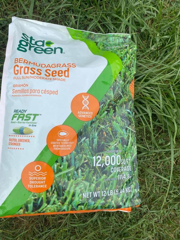 tomato planting fertilizer 8-8-8 Triple Play Tomato & Vegetable Plant Food (Case of 8 Bags