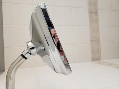 CL DELTA Raincan Single-Setting Shower Head 52283-SS