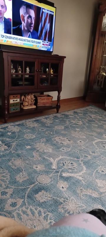 Safavieh Sofia Aydin 7 x 9 Blue/Beige Indoor Distressed/Overdyed French Country Area Rug