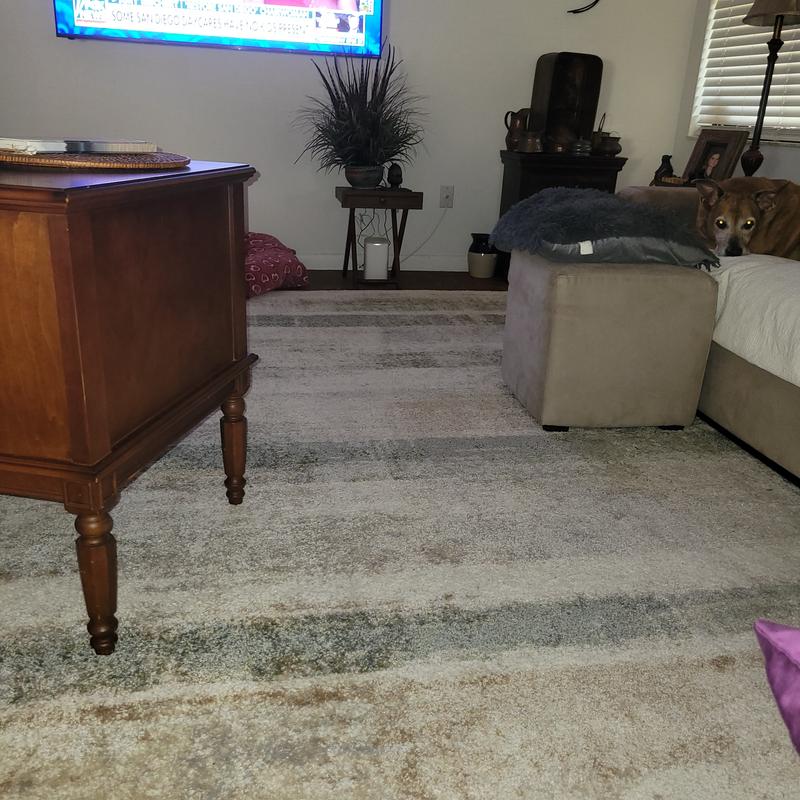 allen + roth with STAINMASTER Multiscape 2 x 8 (ft) Loomed ...