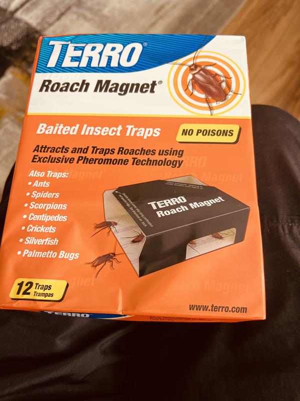 TERRO Indoor Insect Trap (12-Pack) in the Insect Traps department