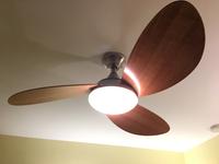 52 In Avian Brushed Nickel Ceiling Fan With Light Kit