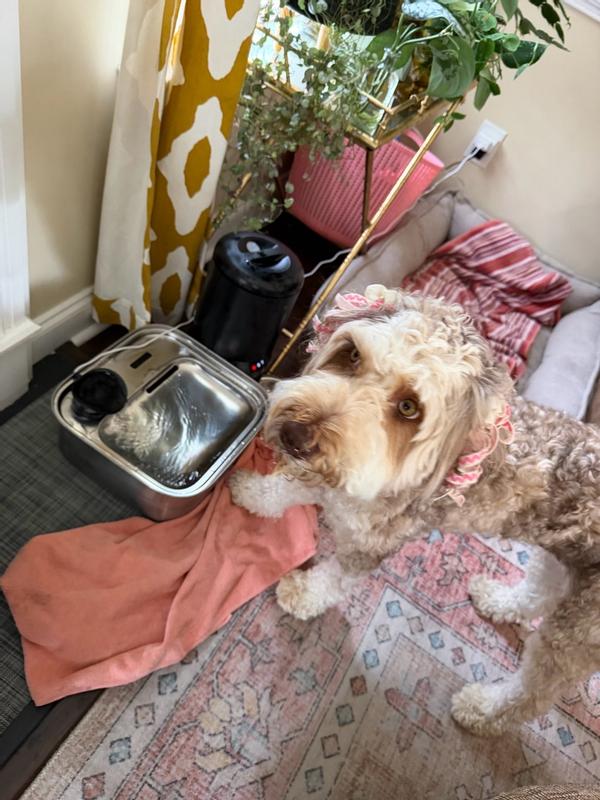 https://photos-us.bazaarvoice.com/photo/2/cGhvdG86bG93ZXM/66629ecd-2d9b-5336-8089-8baea3cd19c9