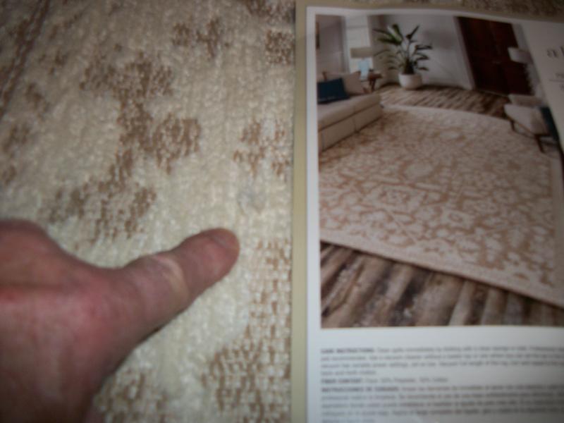 allen + roth Prairie Tapestry 8 x 10 (ft) Woven Polyester Prairie Warm ...