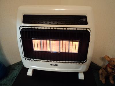 Dyna-Glo 30000-BTU Wall-Mount Indoor Natural Gas or Liquid Propane  Vent-Free Infrared Heater in the Gas Space Heaters department at Lowes.com