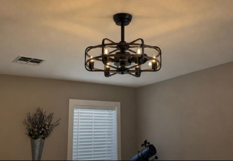 SILJOY 24.8-in Modern Farmhouse Gray Caged Ceiling Fan with Light ...