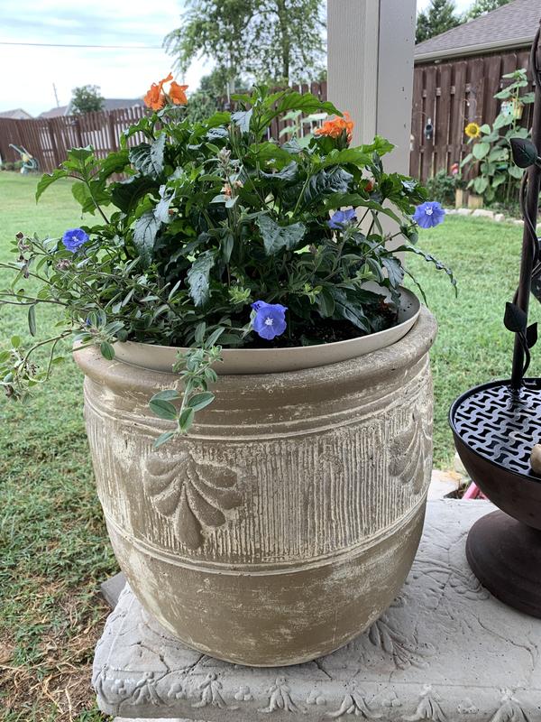 Aged Terracotta Garden Pots - Flared – Farmhouse Pottery