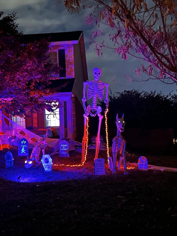 Haunted Living 10-ft Poseable Skeleton Yard Decoration 554568 at