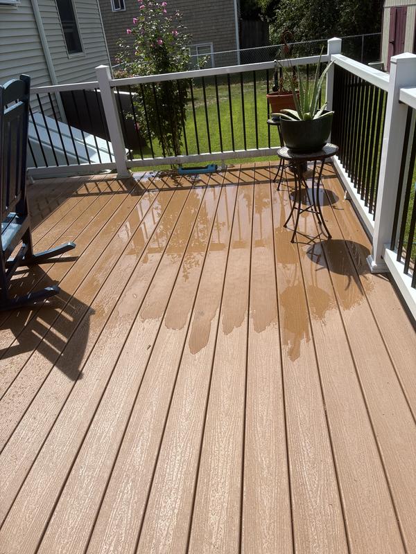 Trex Enhance 12-in Beach Dune Deck Board Sample at Lowes.com