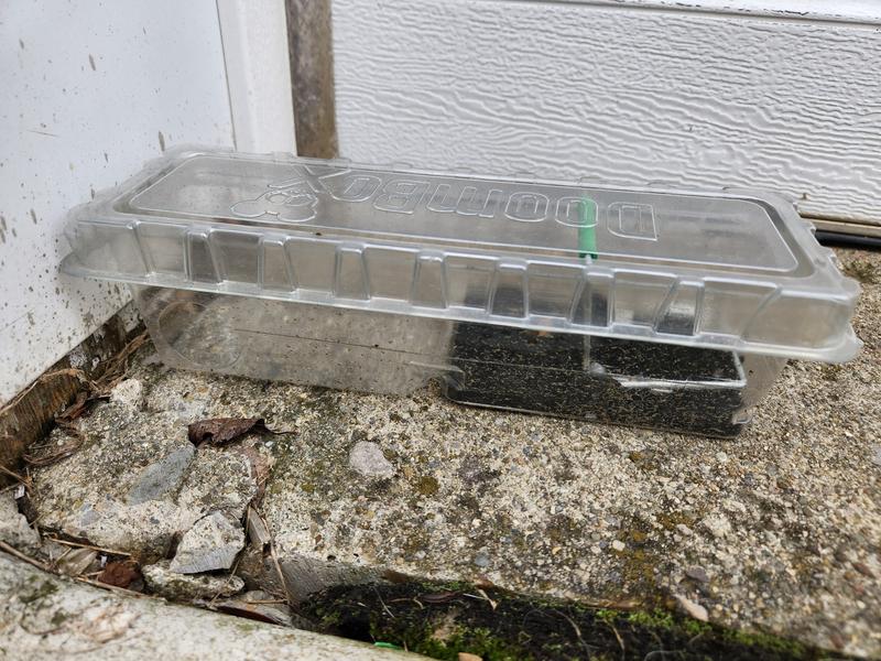 DoomBox Enclosed Tunnel Trap for Mice - Indoor/Outdoor Pest Control ...