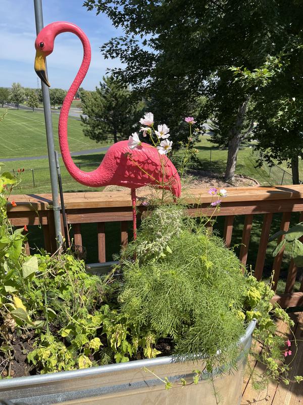 Union Products 38-in H x 5-in W Pink Flamingo Garden Statue 62585