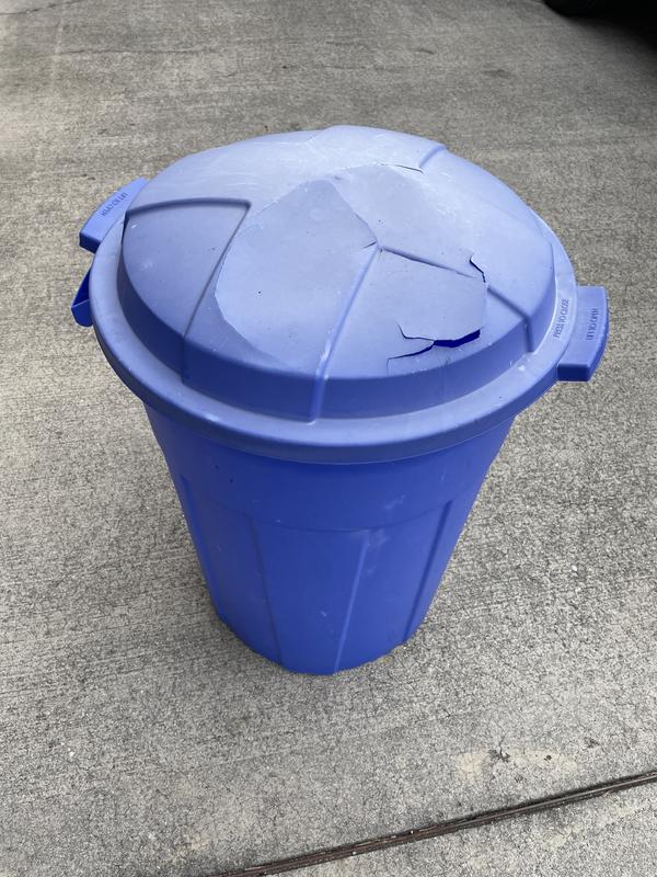 Blue Hawk 32-Gallons Black Plastic Wheeled Trash Can with Lid
