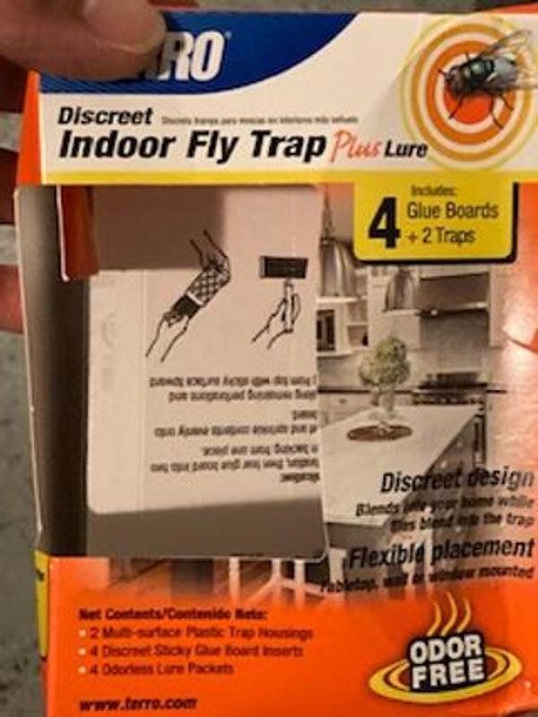 TERRO Discreet Fly Indoor Insect Trap (2-Pack) in the Insect Traps