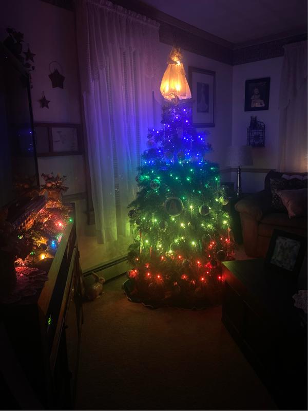 Lumations 50 -Count 16.3-ft Multicolor LED Christmas String Lights in ...