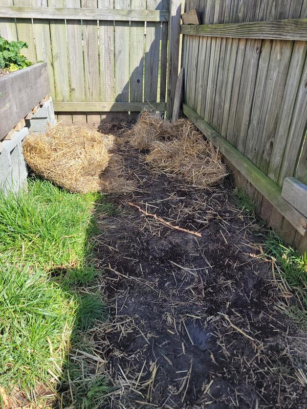 EZ Straw 50ft X 4ft Straw Natural Seed Blanket lupon.gov.ph