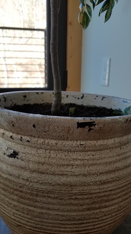 https://photos-us.bazaarvoice.com/photo/2/cGhvdG86bG93ZXM/6e476754-223b-5e65-ae8a-525183b7b247