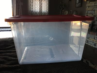 Bella Storage Solution 16.6-in x 11.3-in-Compartment Clear