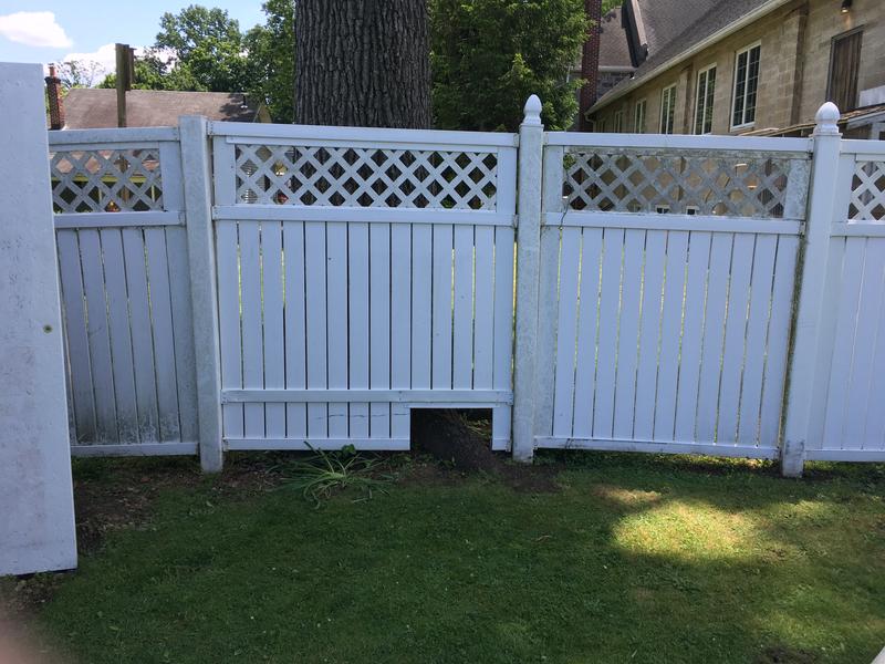 Freedom 6.375-in Clear PVC Vinyl Cement For Vinyl Fence