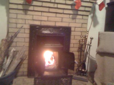 Vogelzang 800-sq ft Heating Area Firewood and Fire Logs Wood Stove at  Lowes.com