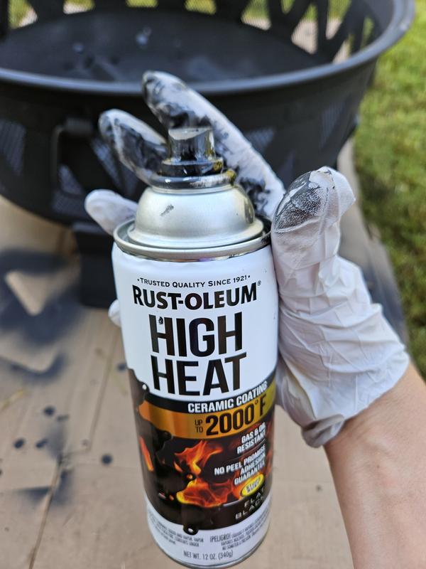  CleanBurn High Heat Stove Paint - Ideal for Stoves, High Temp  Black Spray Paint with Flat Finish : Tools & Home Improvement