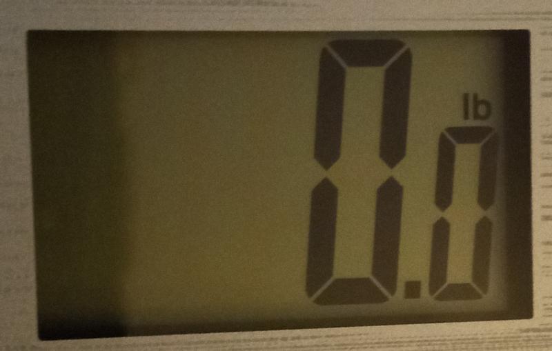 Style Selections 375-lb Digital Metallic Bathroom Scale in the Bathroom ...