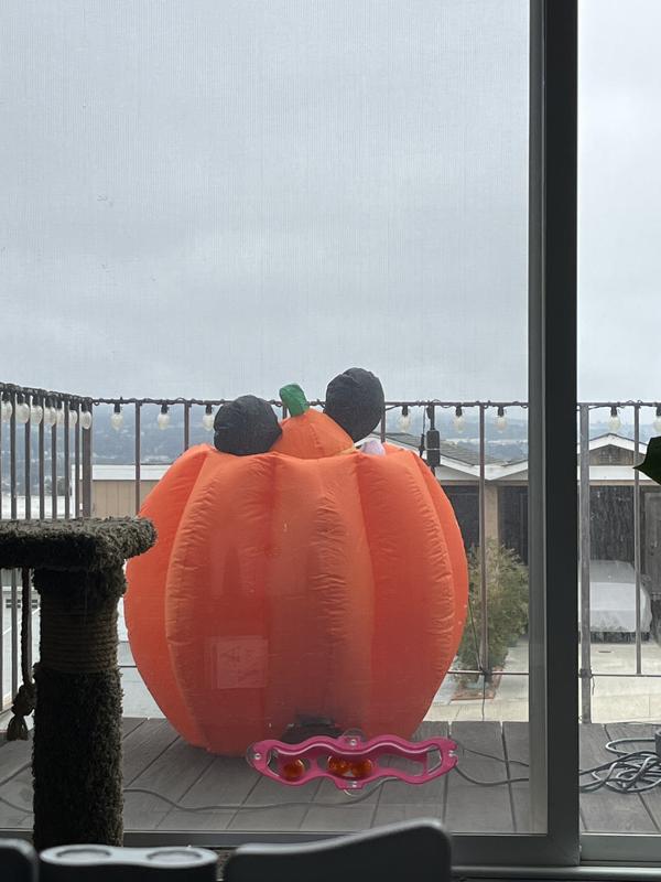 Disney 5-ft Lighted Mickey Mouse and Friends Mickey Mouse Happy ...