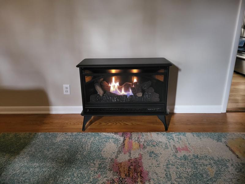 allen + roth 1000-sq ft Dual-Burner Vent-free Freestanding Natural and  Liquid Propane Gas Stove in the Gas Stoves department at Lowes.com