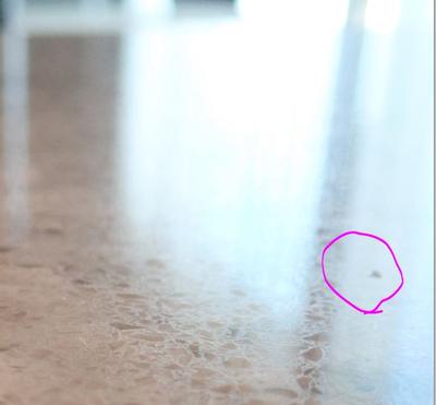 allen + roth Vashon Quartz White Kitchen Countertop SAMPLE (4-in x 4-in ...